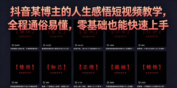 抖音某博主的灰太狼人生感悟短视频教学，全程通俗易懂，零基础也能快速上手-惠声资源站