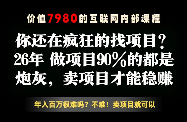 26年请不要疯狂的找项目了，卖项目远比你想象的暴利，你也可以月入10W+【揭秘】-惠声资源站
