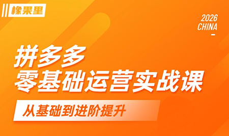 仙道电商·拼多多零基础运营实战课-惠声资源站