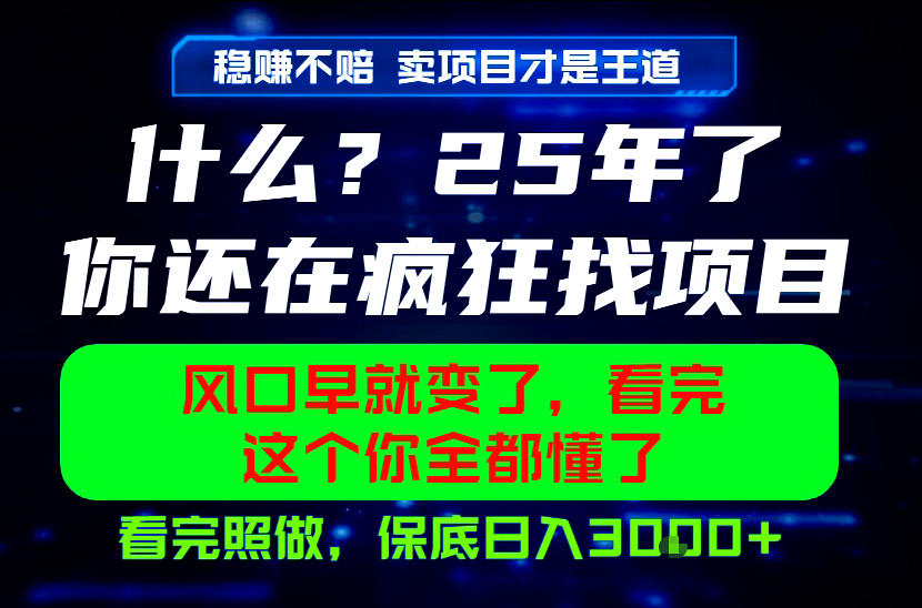 26年，请不要疯狂的找项目做了！卖项目才是真的稳賺不赔，看完照做，保底日入1k+【揭秘】-惠声资源站