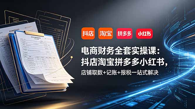 电商财务全套实操课：抖店淘宝拼多多小红书，店铺取数+记账+报税一站式解决-惠声资源站