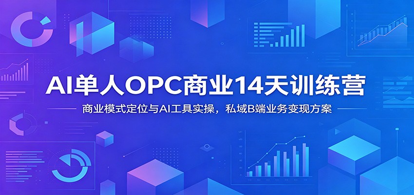 AI单人OPC商业14天训练营：商业模式定位与AI工具实操，私域B端业务变现方案-惠声资源站