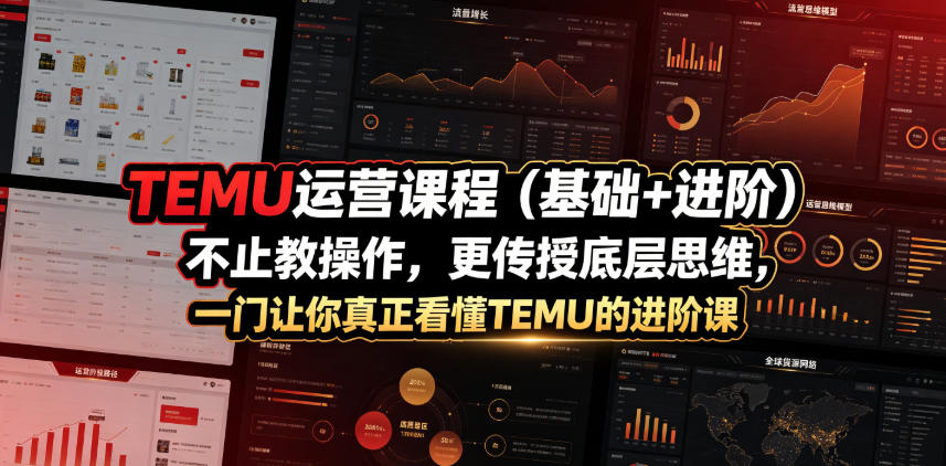 TEMU运营课程(基础+进阶)，不止教操作，更传授底层思维，一门让你真正看懂TEMU的进阶课-惠声资源站