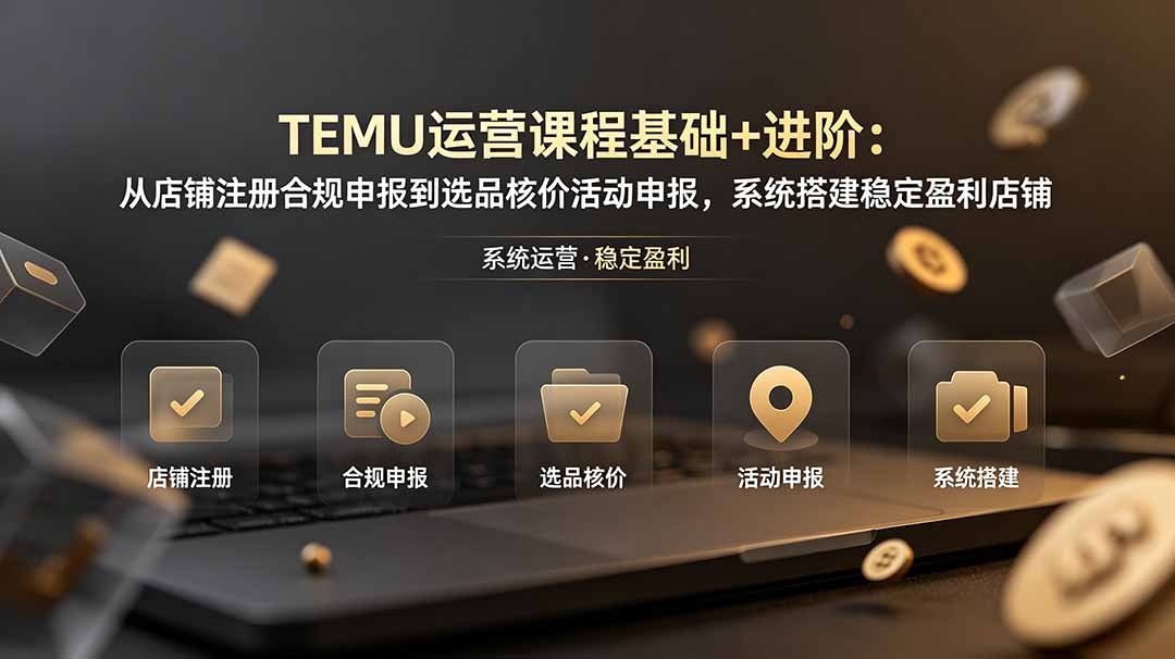 TEMU运营课程(基础+进阶-惠声资源站