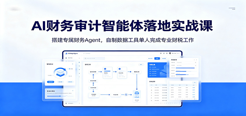 AI财务审计智能体落地实战课：搭建专属财务Agent，自制数据工具单人完成专业财税工作-惠声资源站