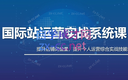 白老师·国际站运营实战系统(高质量询盘增长课)(更新)-惠声资源站