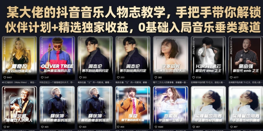某大佬的抖音音乐人物志教学，手把手带你解锁伙伴计划+精选独家收益，0基础入局音乐垂类赛道-惠声资源站