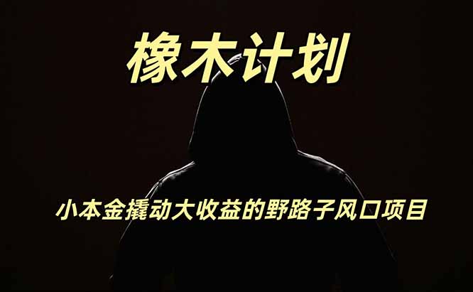 橡木计划，小投入撬动高回报的风口野路子项目，一天投入2小时左右-惠声资源站