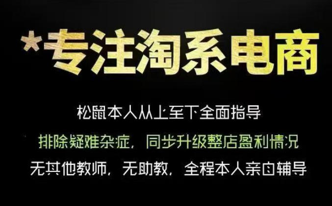 松鼠会电商VIP课程，从基础布局到高阶优化，助你掌握淘宝运营逻辑，提升店铺流量与转化(更新0809)-惠声资源站