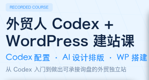 大卫·外贸人Codex + WordPress建站课(更新8月)-惠声资源站