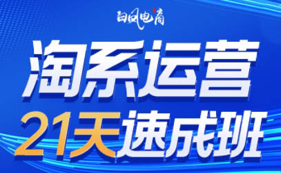 白凤电商·淘系运营21天速成班(更新8月)-惠声资源站