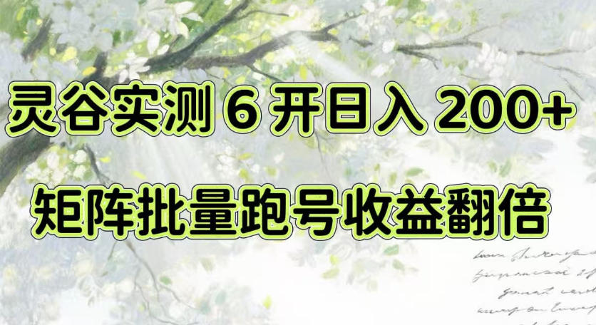 一台电脑就能做！灵谷实测6开日入200+，矩阵批量跑号收益翻倍【揭秘】-惠声资源站