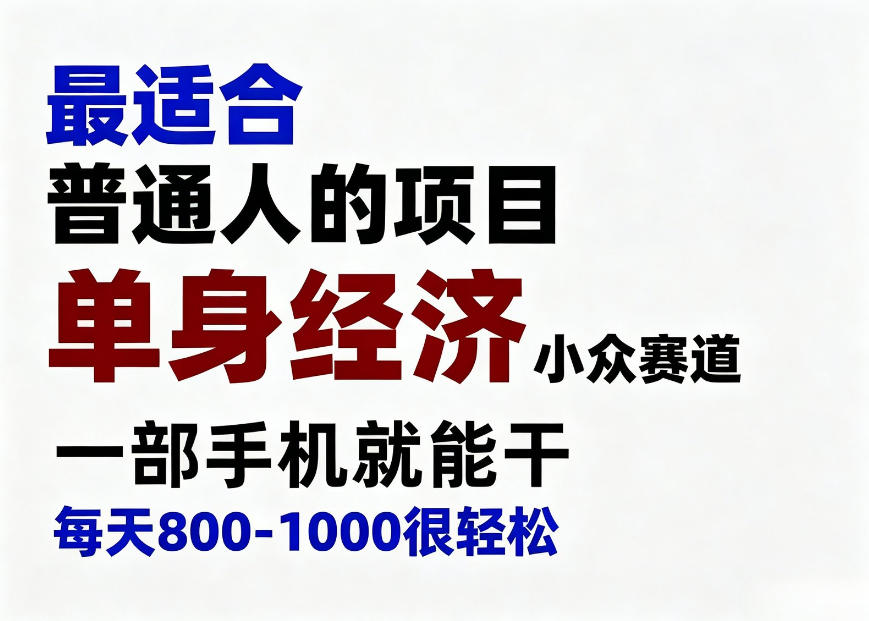 身经济小众赛道，一部手机就能干，每天搞个800-1000很轻松，最适合普通人的项目【揭秘】-惠声资源站
